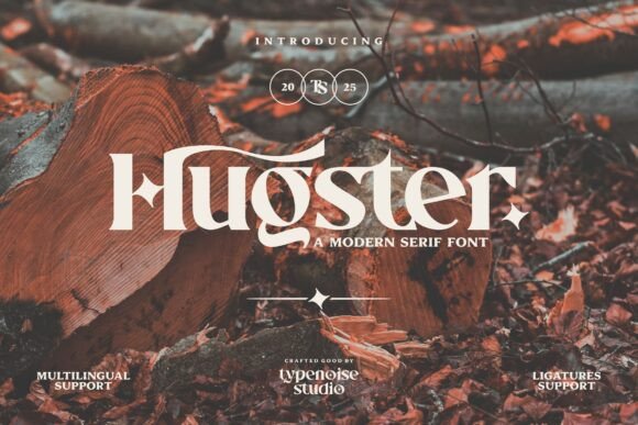 Hugster: A Modern Serif Font for Business