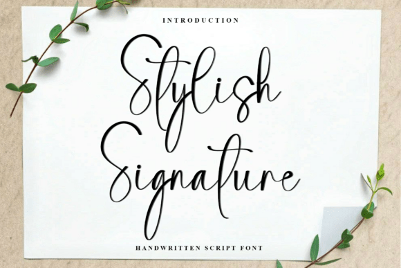 Stylish Signature Font