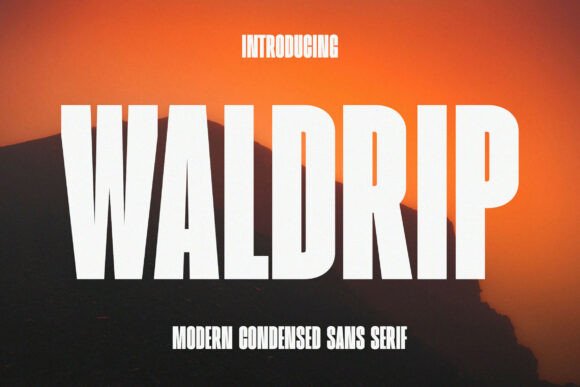 Waldrip Font for Modern Design